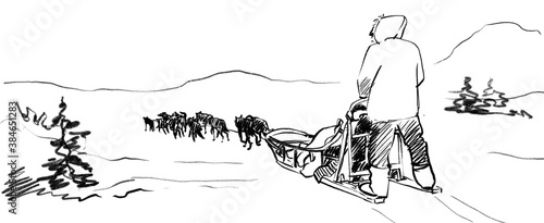 Team of sled dogs pensil sketch. background winter northern landscape. Illustration of a running husky