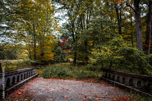 Bridge in Rockefeller State Park ending in brush photo