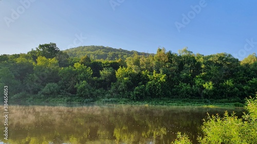 lake in the forest