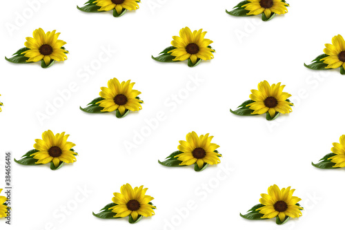 Yellow sunflowers isolated on white background. Sunflower repeated pattern