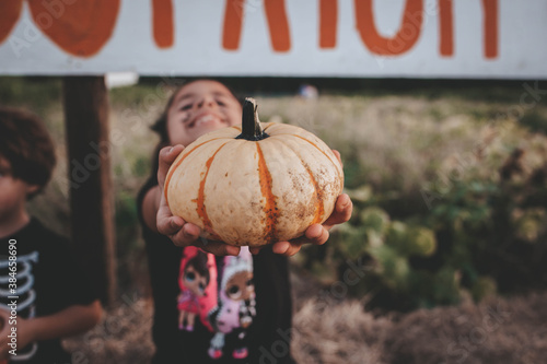 fall day in Florida at a pumpkin patch at a farm picking pumpkins  photo