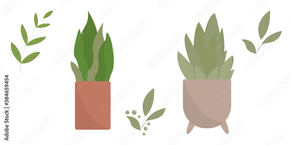 set of home plants and leaves set of home plants and leaves