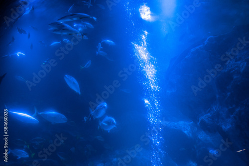 深海