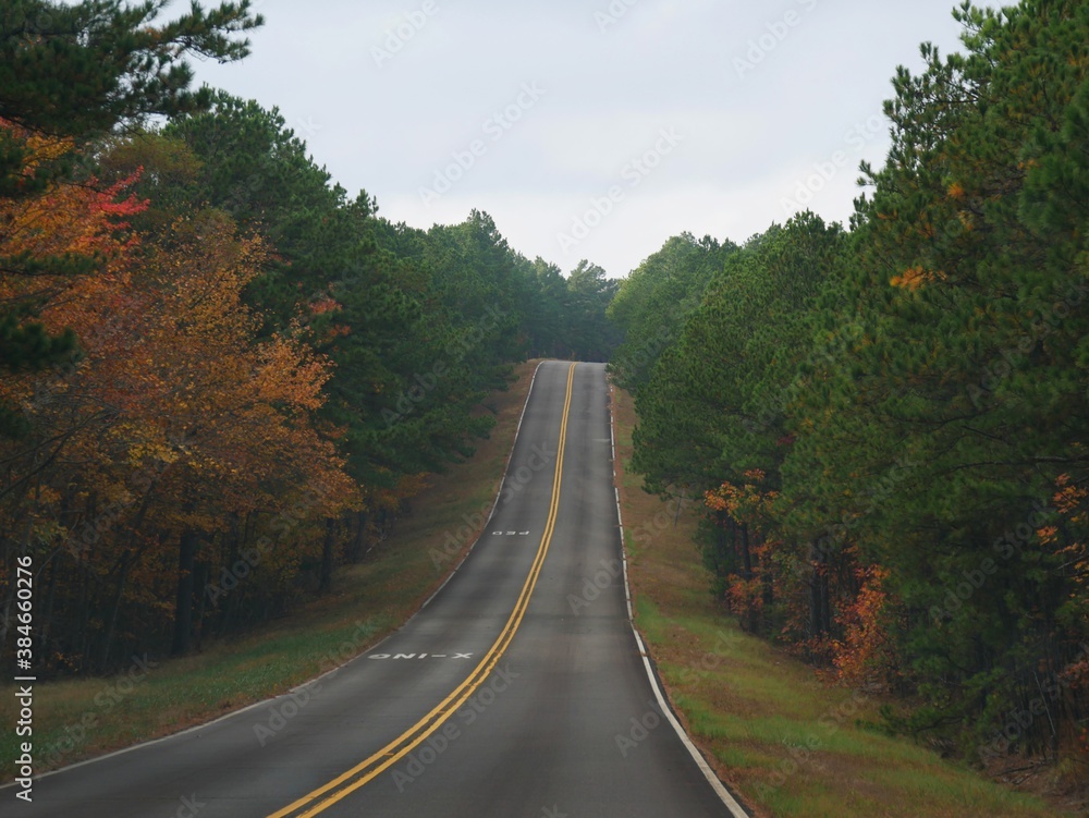 Colorful trees in autumn lining an uphill road in Oklahoma, USA.