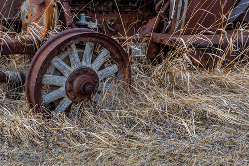 Wooden spokes to a vintage car buried in tall grass on the prairies in Saskatchewan