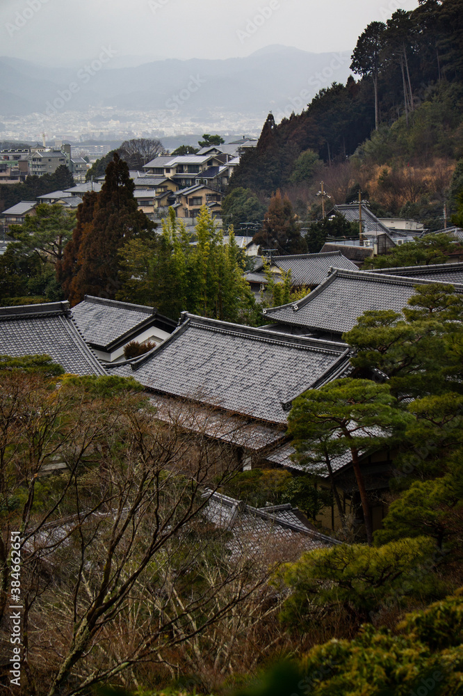 Fototapeta premium SONY DSC Kyoto,ginkakuji,temple;villa,architecture,moss, cityview,tree,oldtown,histric,japan, 京都,銀閣寺,町並み,