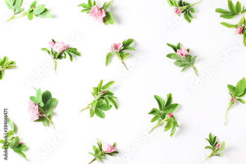 floral pattern. beautiful fresh rose flowers on a white background. flat lay, minimal concept
