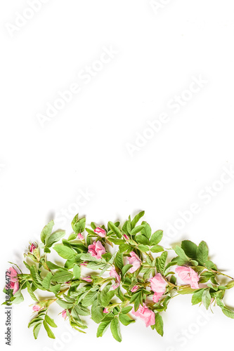 beautiful composition of fresh rose flowers and green leaves on a white background. floral pattern, top view, copy space