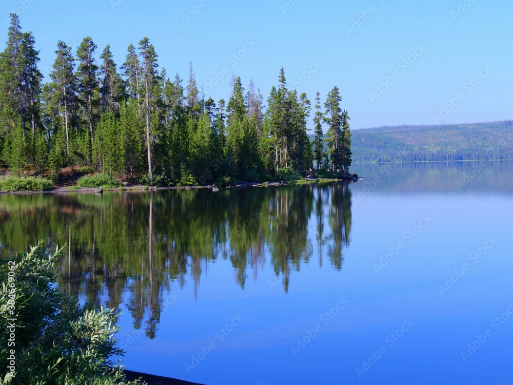 Tranquil view of Lake Yellowstone with the trees reflected in the waters. Yellowstone National Park, Wyoming, USA.