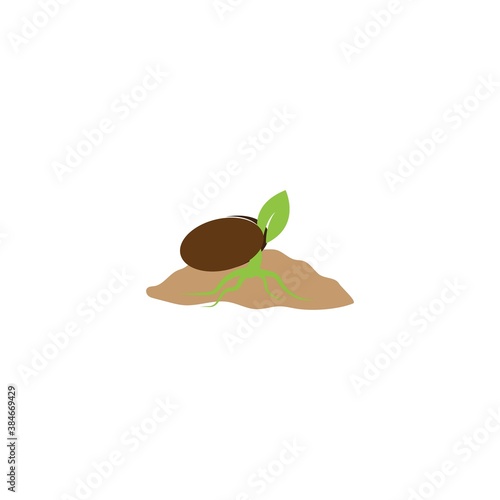 Plant life process
