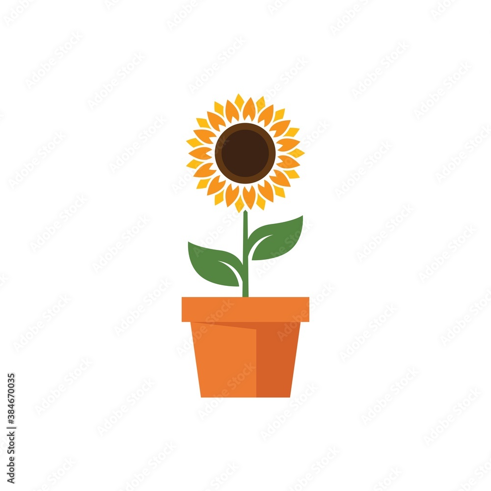 Obraz premium Sunflower