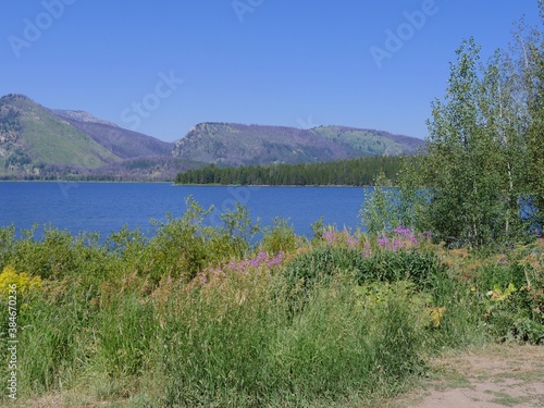 Wide scenic shot of Jackson Lake with greenery and flowers at the Grand Teton National Park in Wyoming.