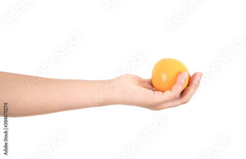A hand holding an orange outstretched in front of a white background