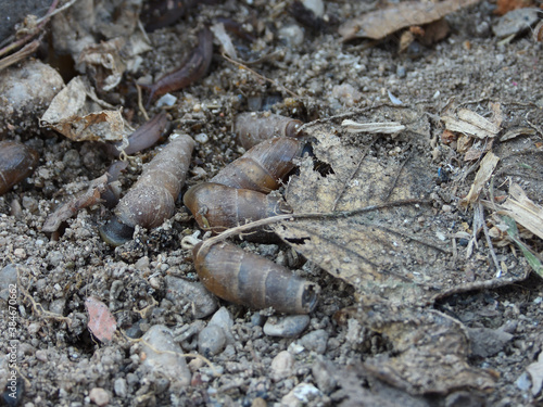 Macro naturaleza