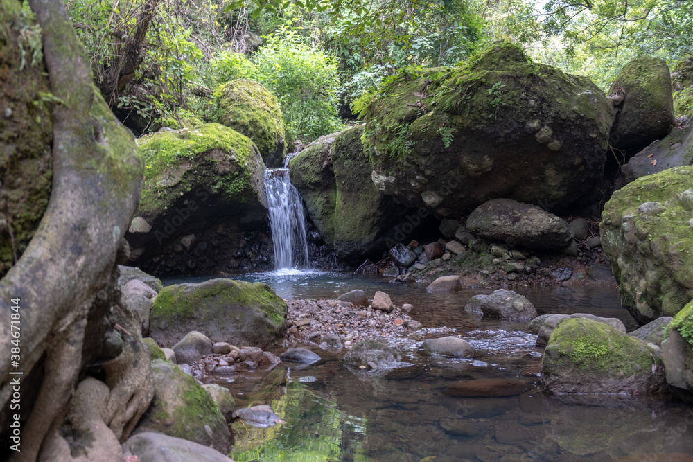 Fototapeta premium waterfall in the forest