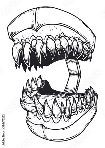 Drawing of Fierce Teeth Model with Sharp Teeth, Vector Illustration