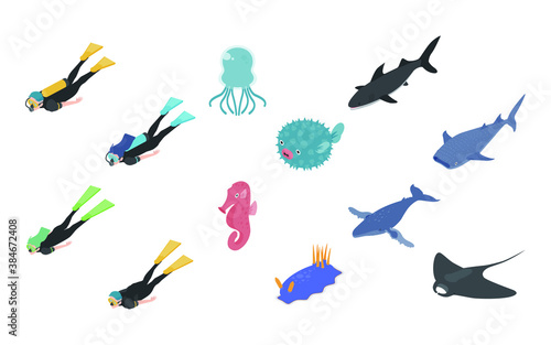 Scuba diving and free diver and underwater animals isometric icons and ground objects vector illustration