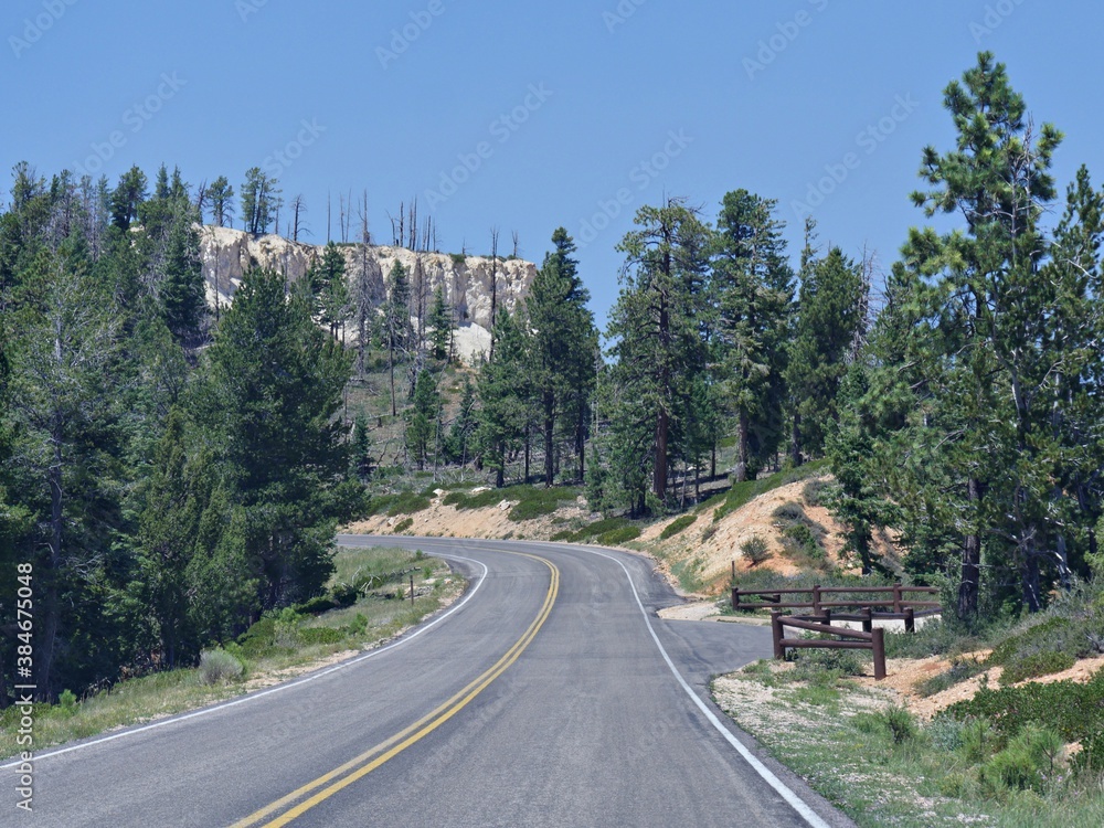 Scenic drive along paved winding roads with pine trees on the roadsides at Bryce Canyon National Park, Utah.