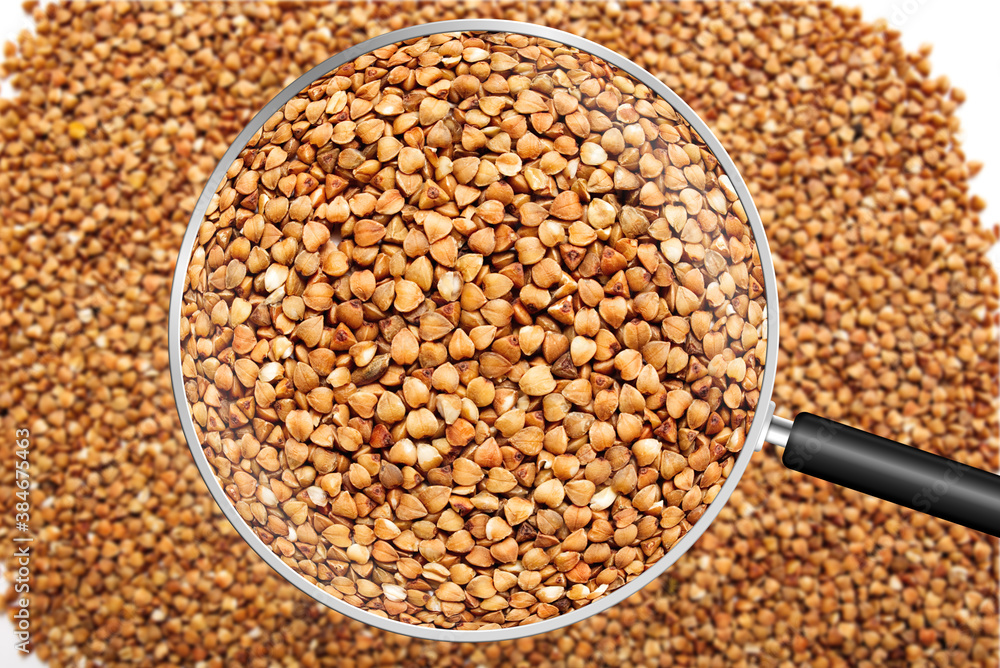 Obraz premium Buckwheat grain view through magnifying glass