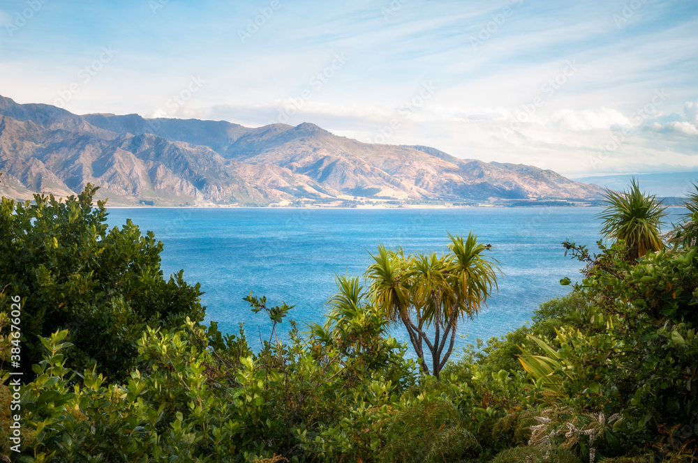 Mountain range view in the late afternoon sunlight, on the side of Lake Hawea, with wild vegetation in the foreground, in Otago Region, New Zealand, Southern Alps.