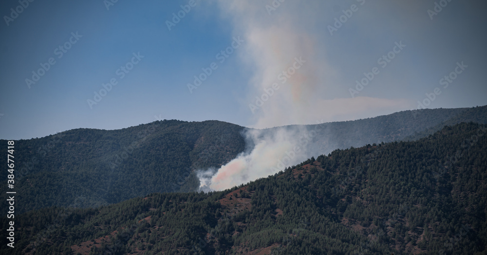 Fototapeta premium smoke rising from forest fire
