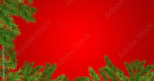 Pine tree branch on red background.Green fir branch for christmas.
