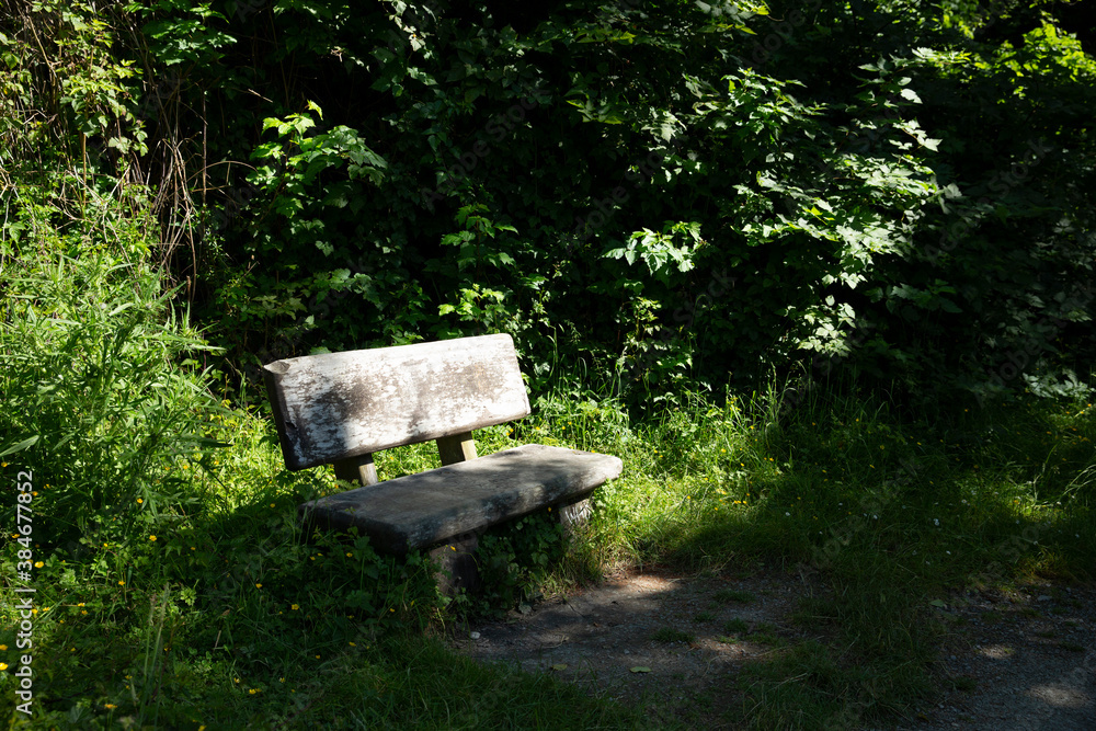 Wood bench in a small sunny clearing in a green overgrown area. Rest on a hiking trail. Wood bench in a small sunny clearing in a green overgrown area. Rest on a hiking trail.