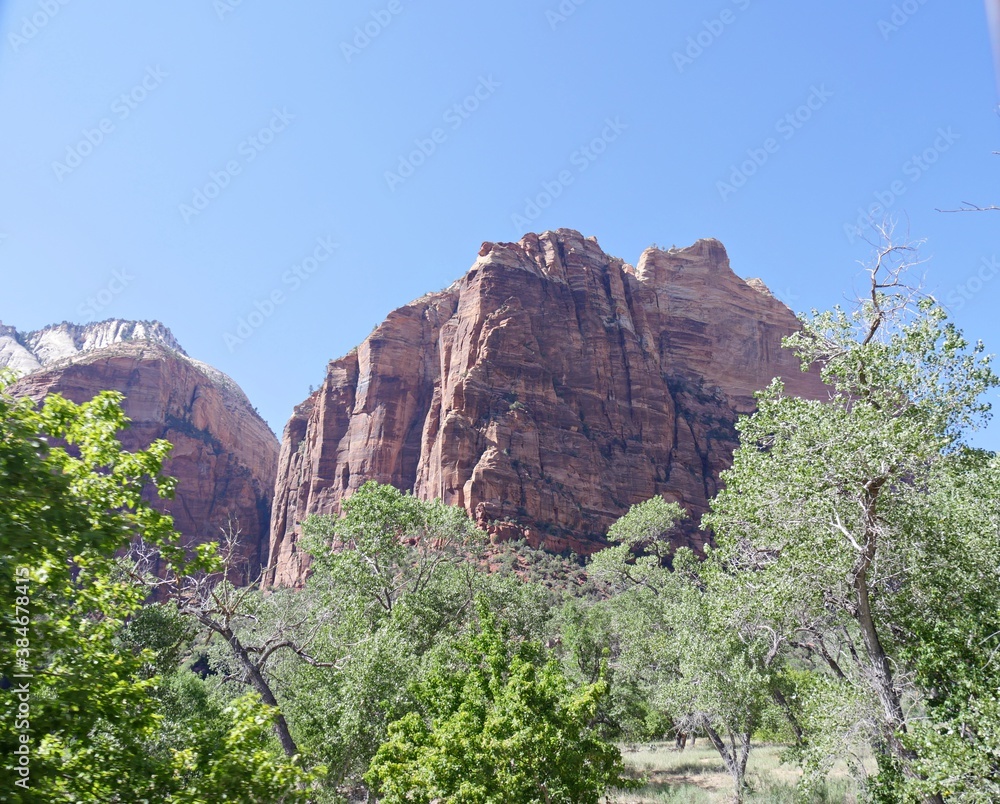 Upward shot of the steep red cliffs towering above trees at Zion National Park, Utah