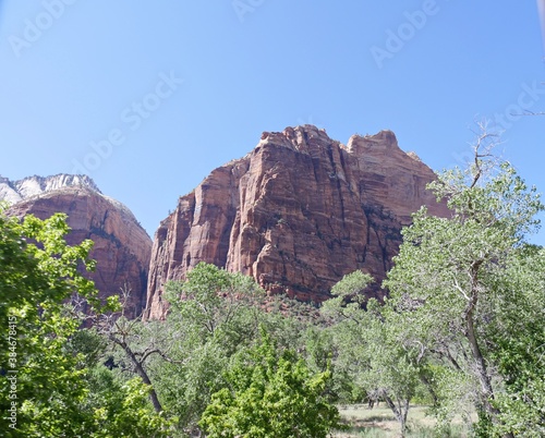 Upward shot of the steep red cliffs towering above trees at Zion National Park, Utah