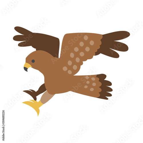 鷹　イラスト素材