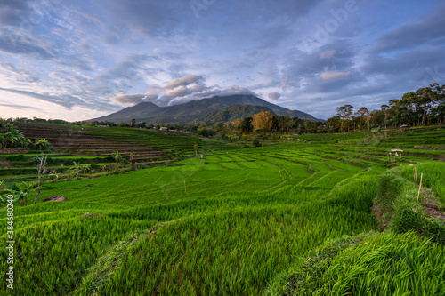 Scenery of rice terrace field with beautiful sunrise sky and high mountain in the background. Rural scene of Indonesia. Top photography destinations