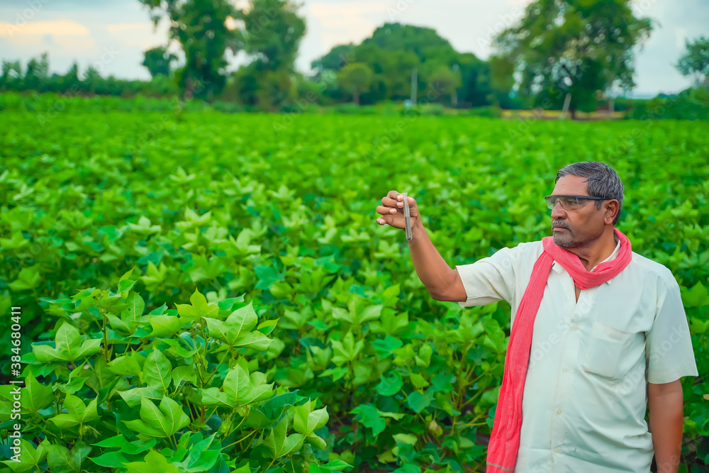 indian farmer checking with test tube and tablet at field indian farmer checking with test tube and tablet at field