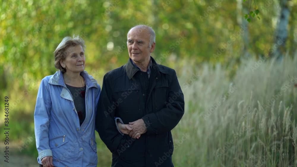 An elderly couple holding hands while walking together in the Park . View of a romantic elderly couple vacationing, relaxing in nature . The happiness of the people lifestyle. Slow motion. An elderly couple holding hands while walking together in the Park . View of a romantic elderly couple vacationing, relaxing in nature . The happiness of the people lifestyle. Slow motion.