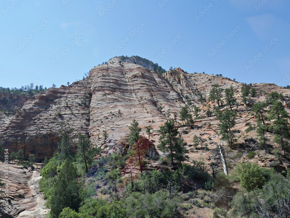 Upward shot of beautiful rock formations at Zion National Park, Utah, USA.