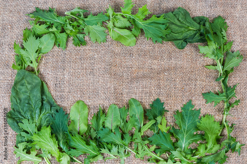 Leafy vegetables laid in the form of frame on burlap photo