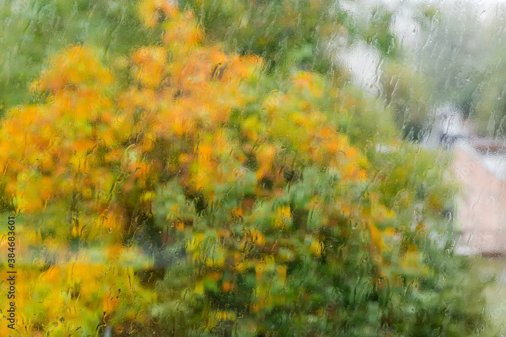 Window pane during a rain, blurred trees through the glass