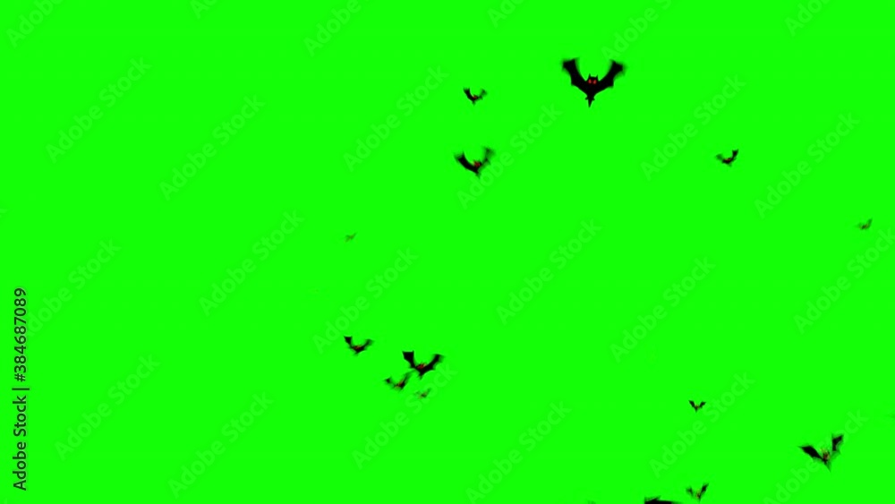 Swarm of Spooky Halloween Bats flying around and filling the screen Swarm of Spooky Halloween Bats flying around and filling the screen