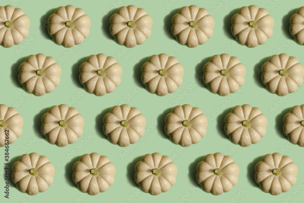Vegetable pattern. Repeating round white pumpkin on a light green background. Beautiful pattern from natural vegetables. Horizontal. The concept of healthy food and vegetarianism.