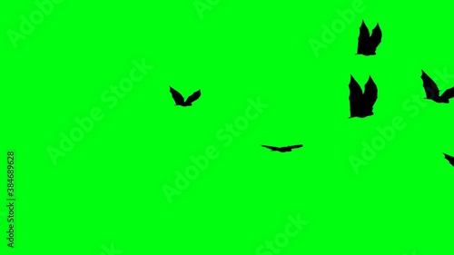 silhouettes of flitter-mouse flying on green screen chroma key, halloween elements