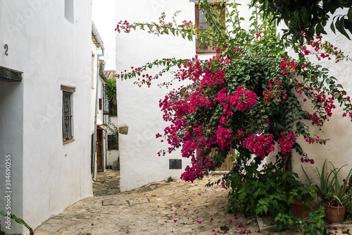 Castellar de la Frontera, street with flowers at the white facades, Spain photo