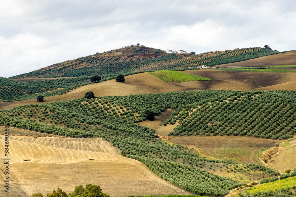 Landscape view near Olvera in Cadiz province, Andalucia, Spain