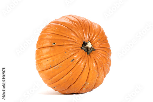 Wallpaper Mural Fresh orange pumpkin isolated on white background, top view Torontodigital.ca