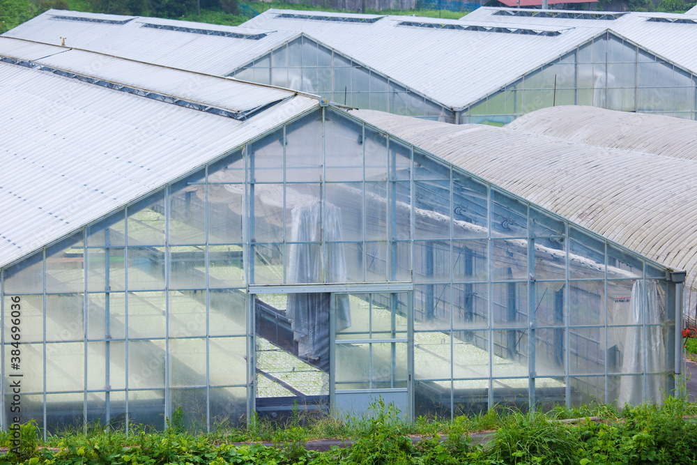Obraz premium ビニールハウス