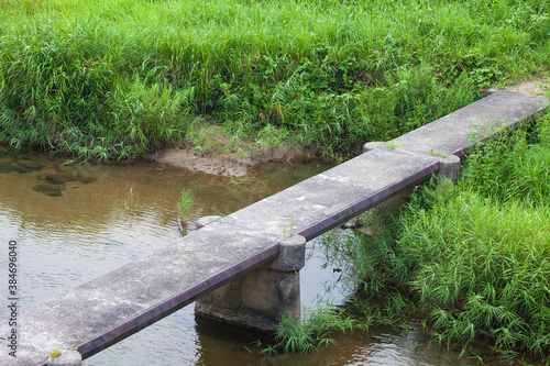 葦に浄化される川 photo