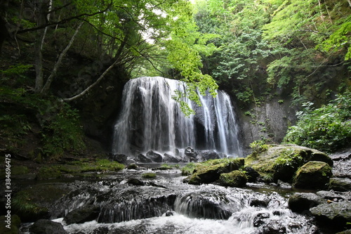 森林の中の滝