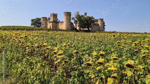 Tableau sur toile French wineyards and castle in France