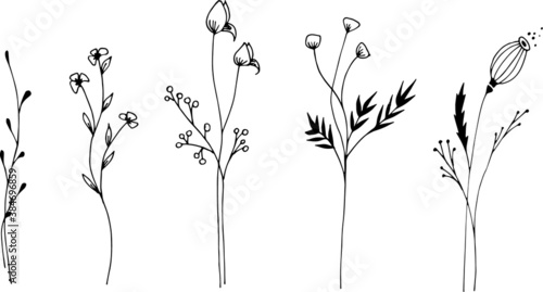 grass and flowers. Drawn color. Linear style. Black and white flowers.