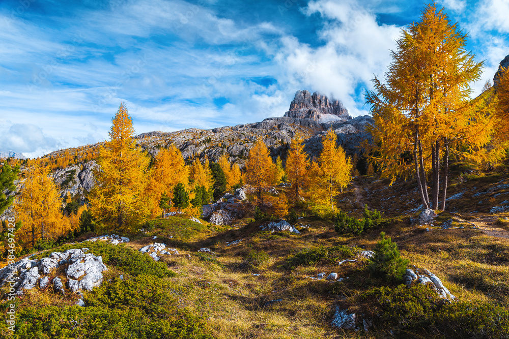 Fototapeta premium Autumn scenery with colorful larch trees in the Dolomites, Italy