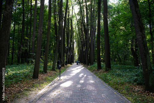 Photography Walking in Tsaritsyno park