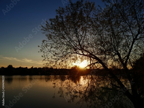 Dramatic sunset reflected in the waters of a lake, with the silhouette of a tree in the foreground